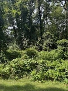 0.3 acres in Texas County
