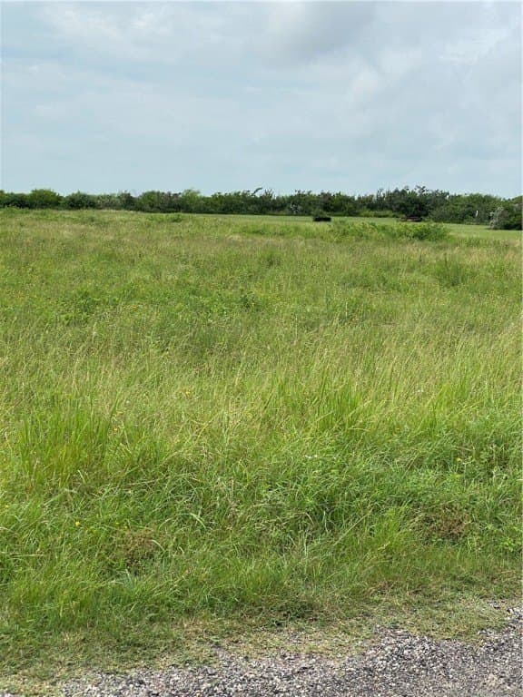 0 acres in Jim Wells County
