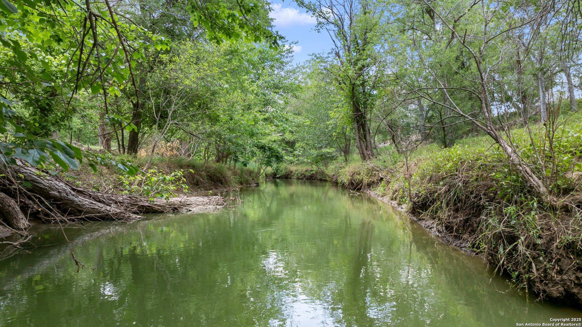 14.23 acres in Wilson County