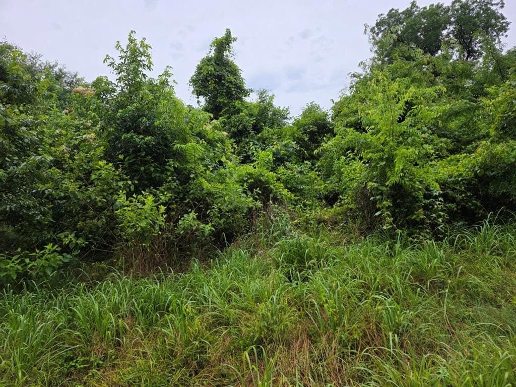20.99 acres in ANDERSON County