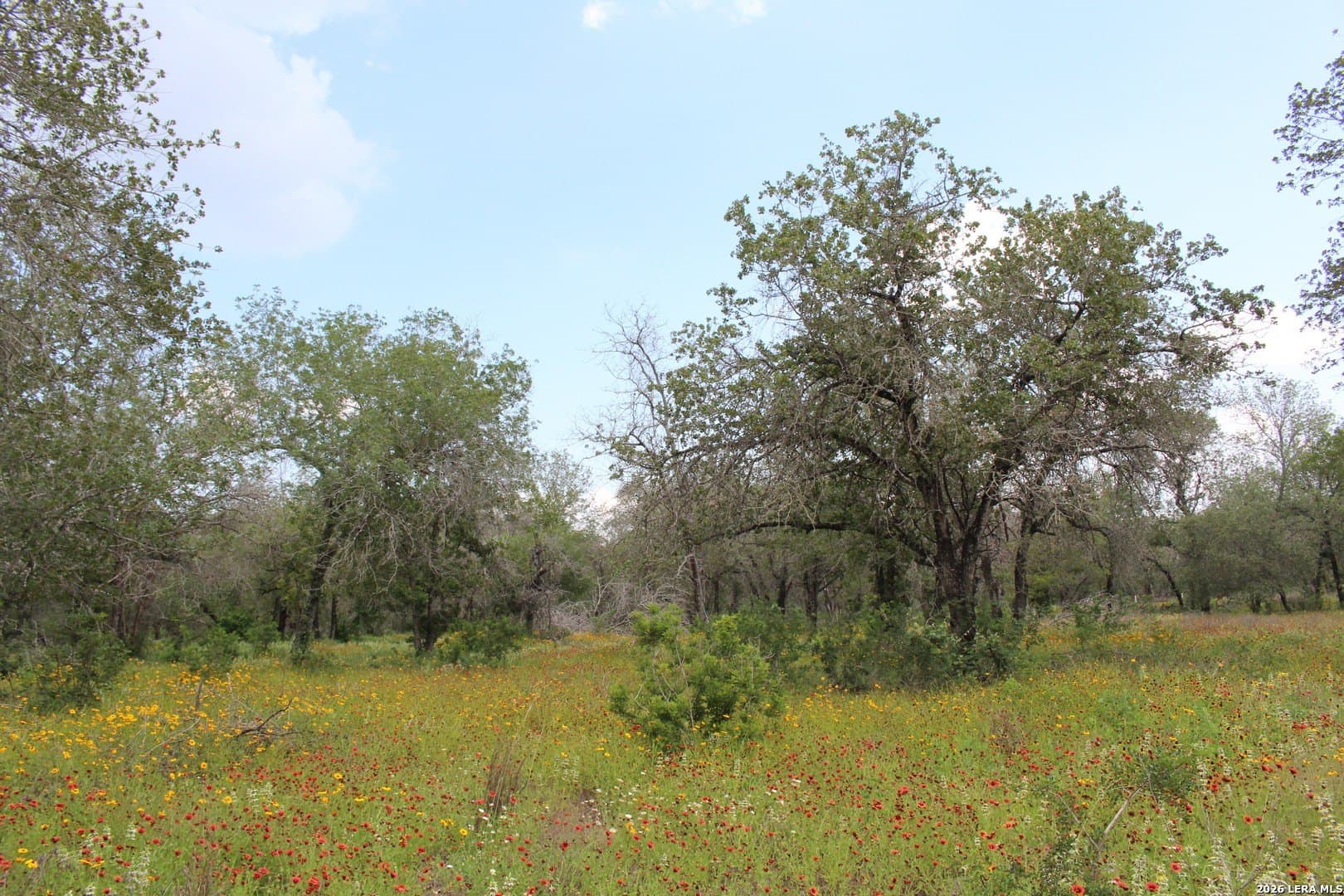10.66 acres in Bexar County