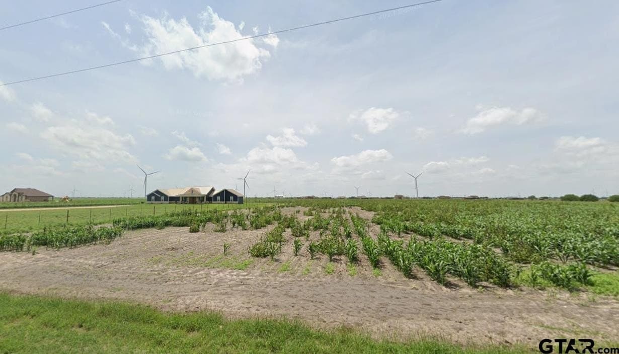 5 acres in Willacy County