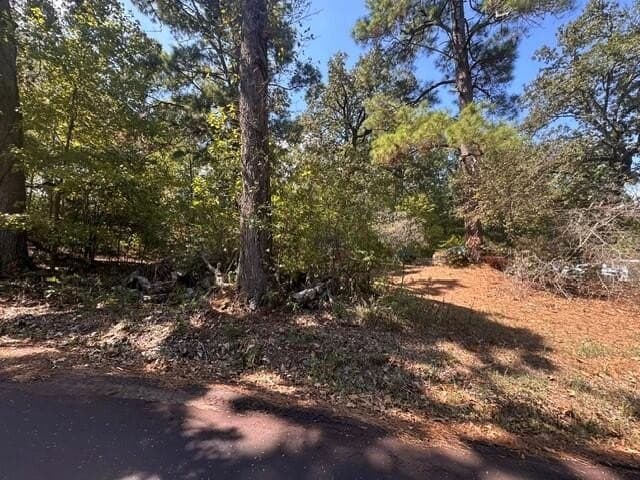 0.18 acres in Texas County