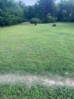 0.22 acres in Dallas County