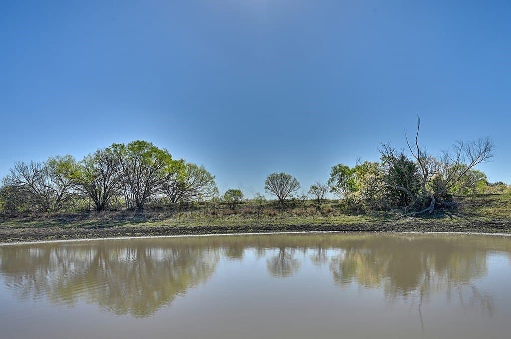 107 acres in Gonzales County