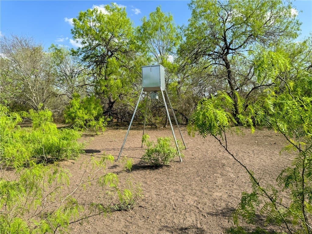 10 acres in Bee County
