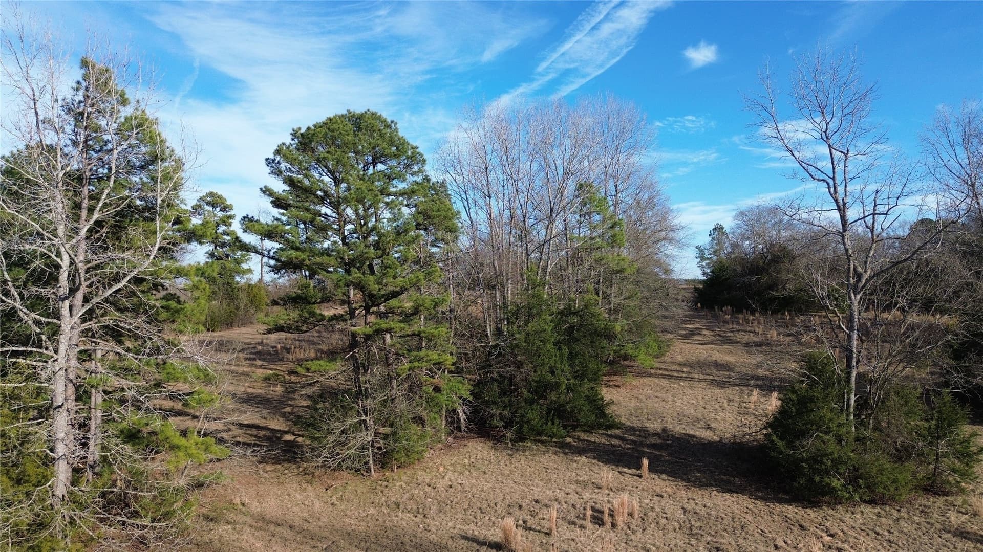 111.7 acres in Wood County