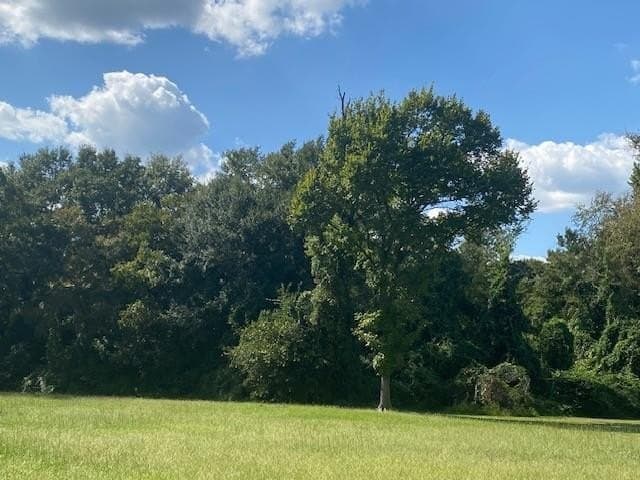 25 acres in Henderson County