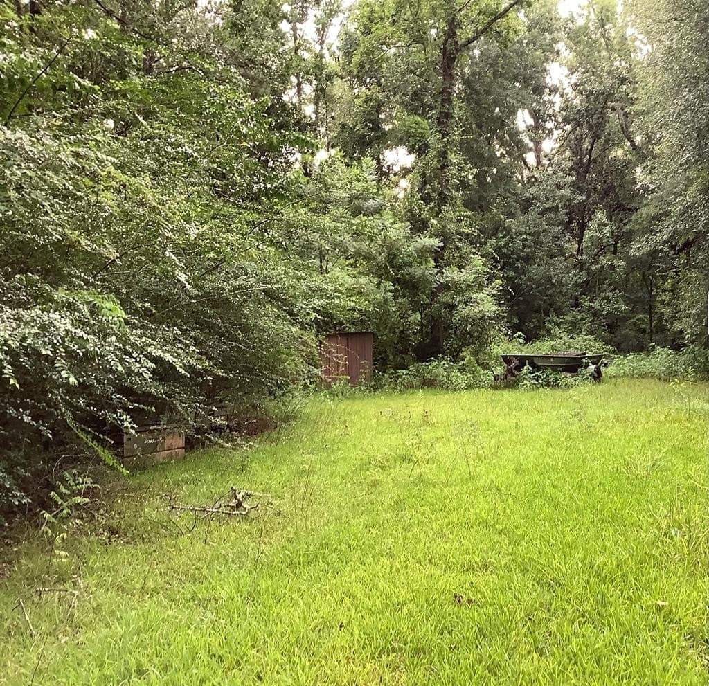 18.3 acres in Texas County