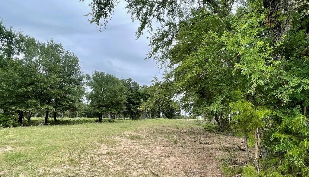 14.31 acres in LIMESTONE County