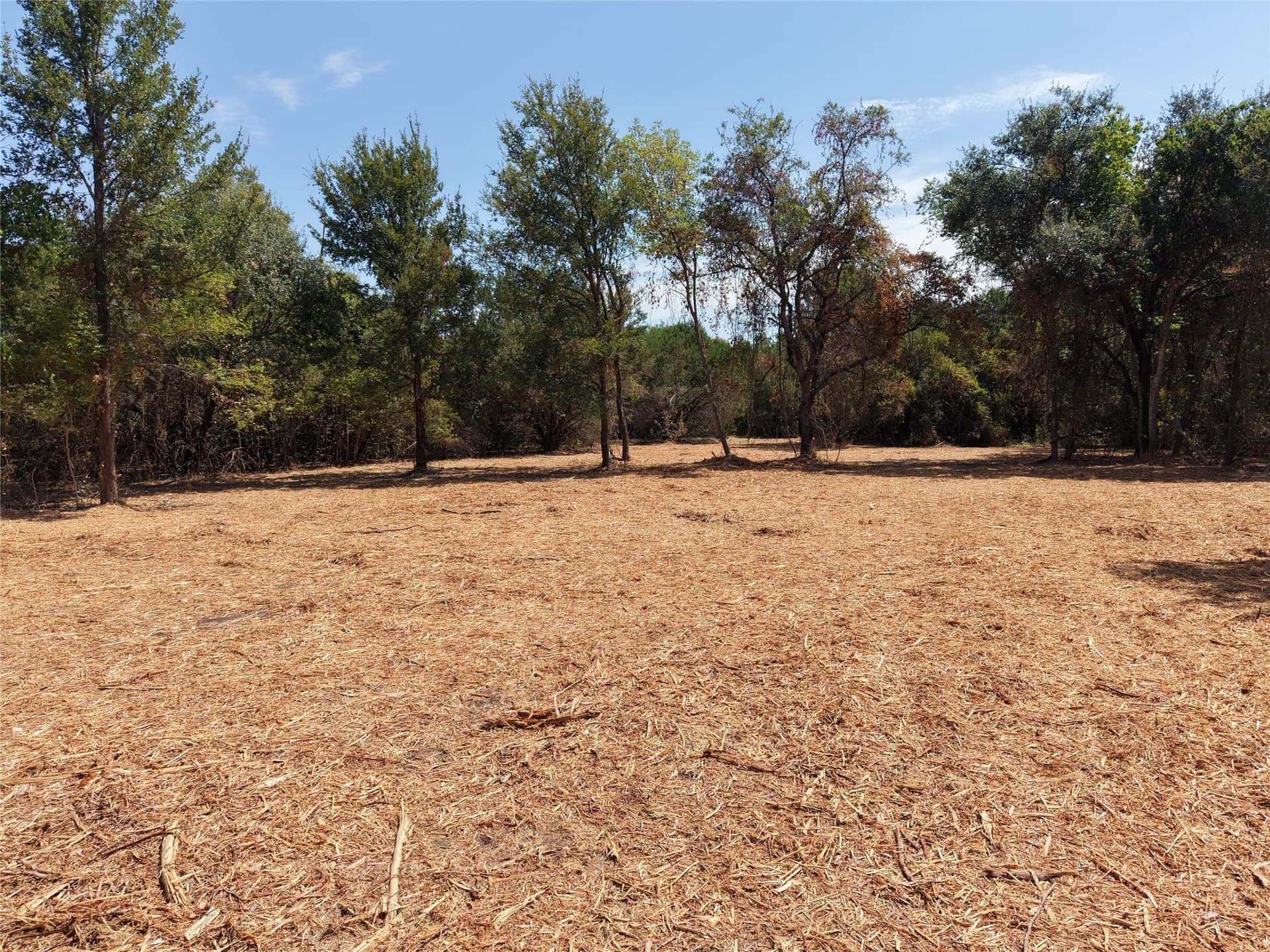 16.3 acres in Bosque County