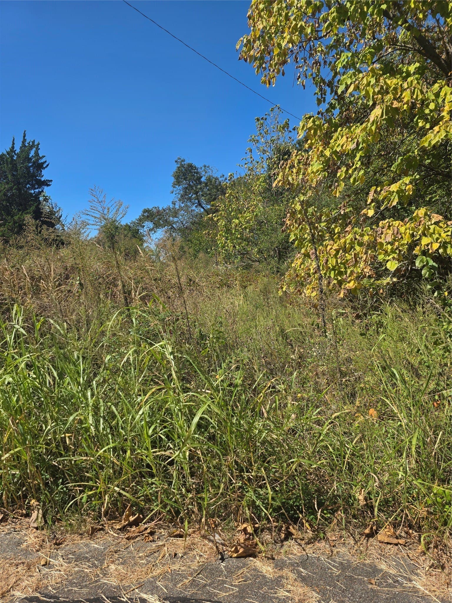0.17 acres in Lamar County