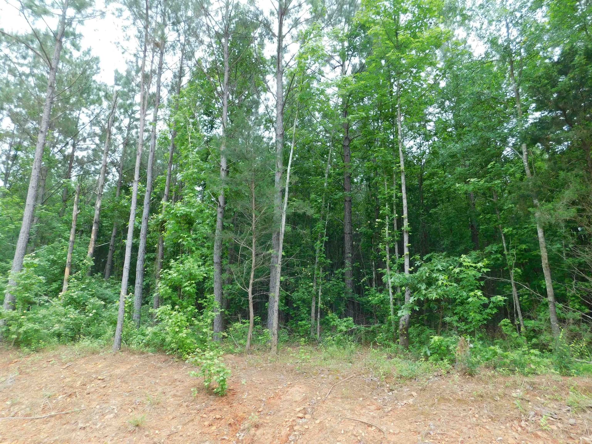 0.82 acres in Texas County