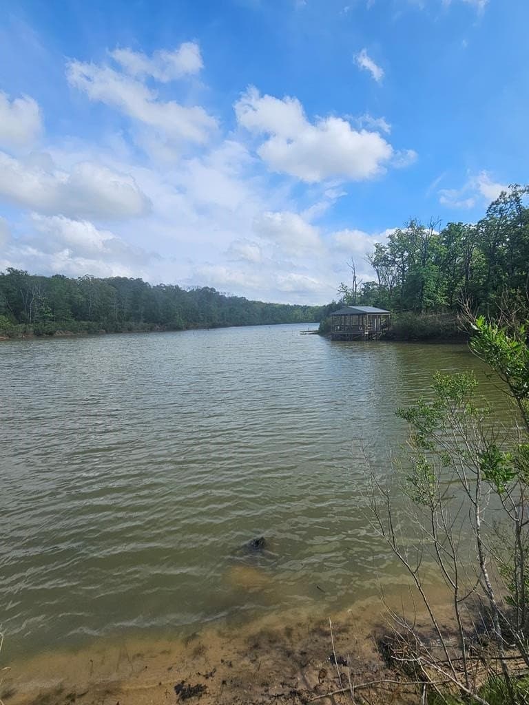 84.19 acres in Henderson County