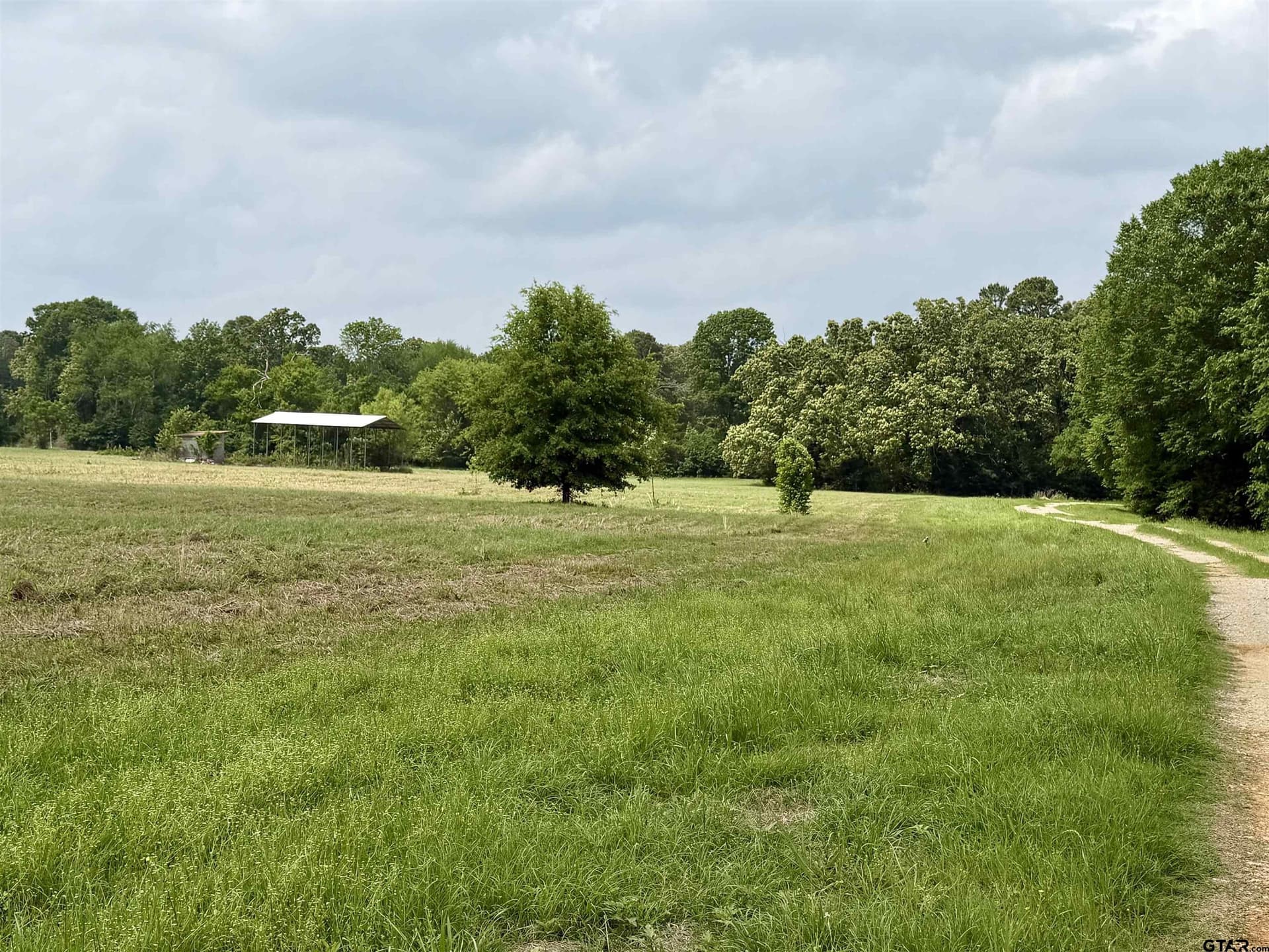 8 acres in Henderson County