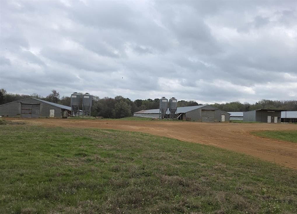 161.4 acres in Upshur County