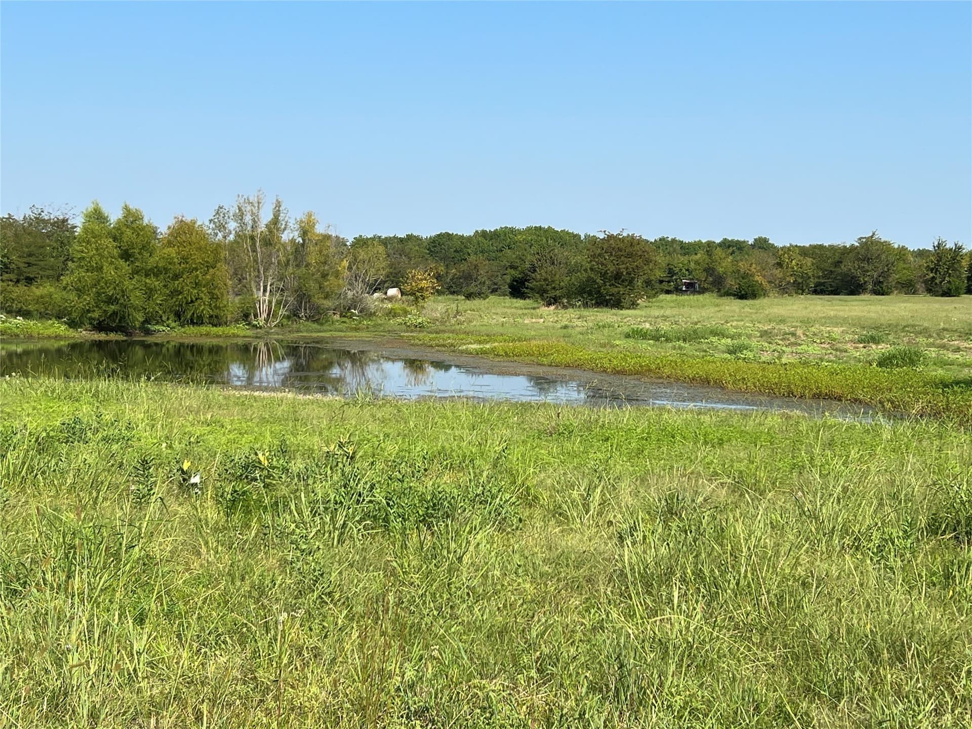 49.5 acres in Delta County