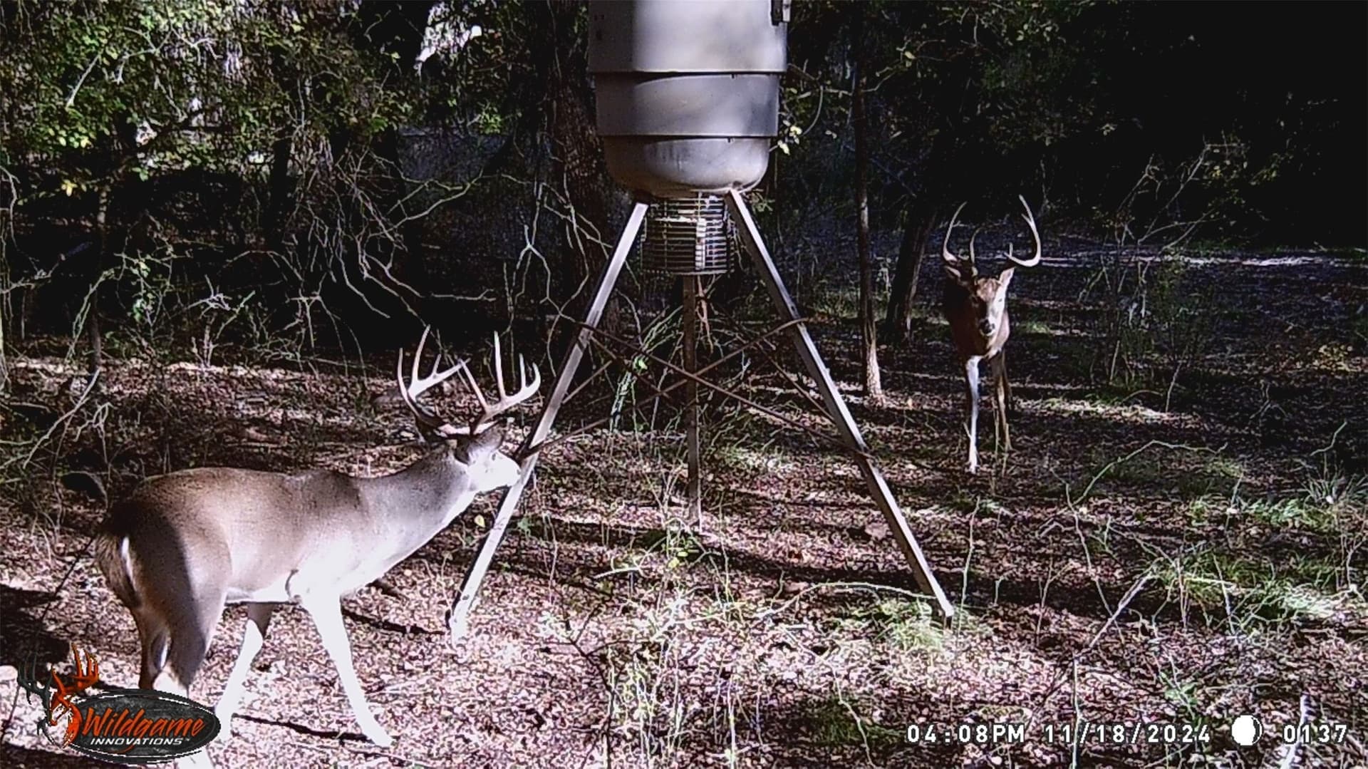 5.07 acres in Palo Pinto County