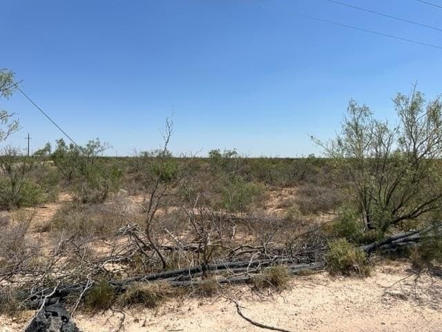 35.33 acres in Ector County