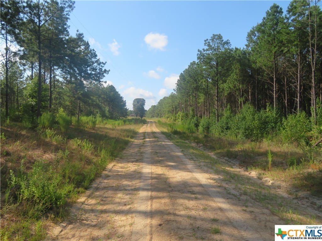 156.59 acres in Newton County