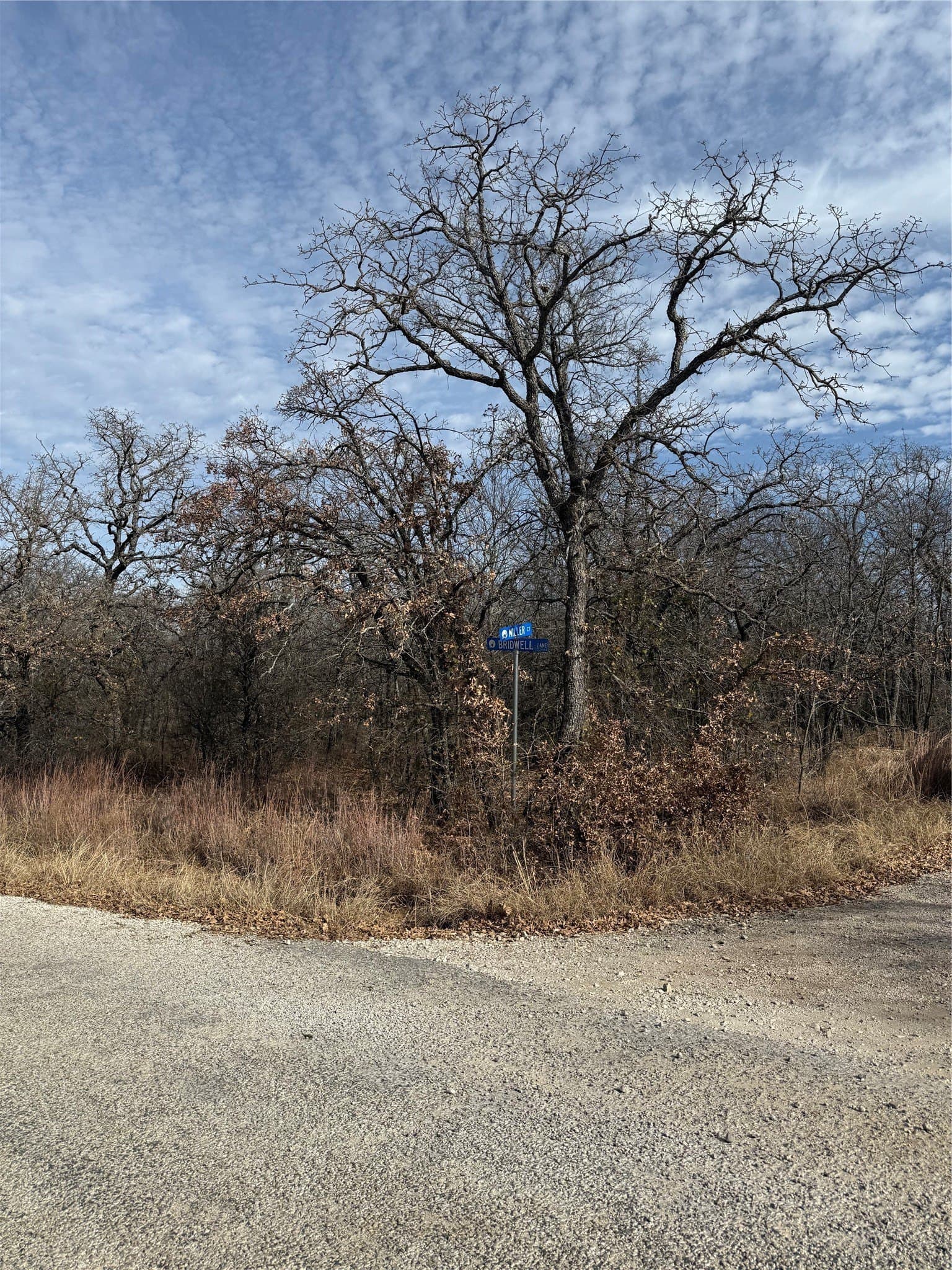0.32 acres in Wise County
