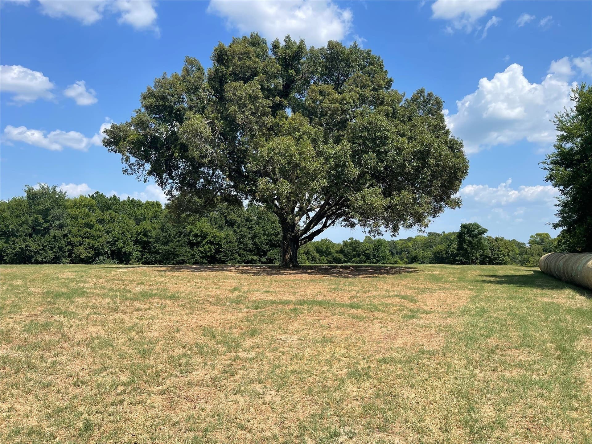34.5 acres in Van Zandt County