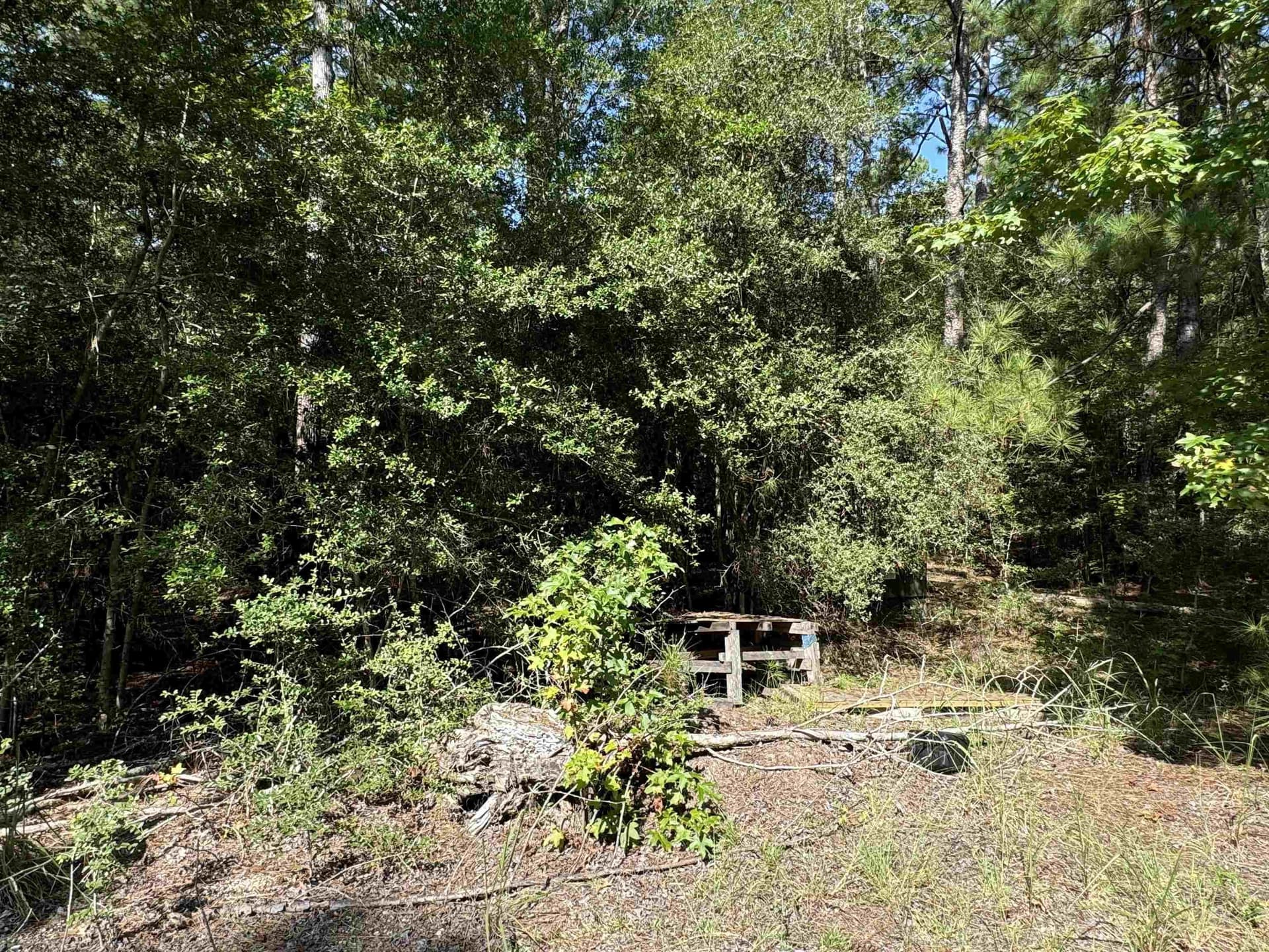0.25 acres in Texas County