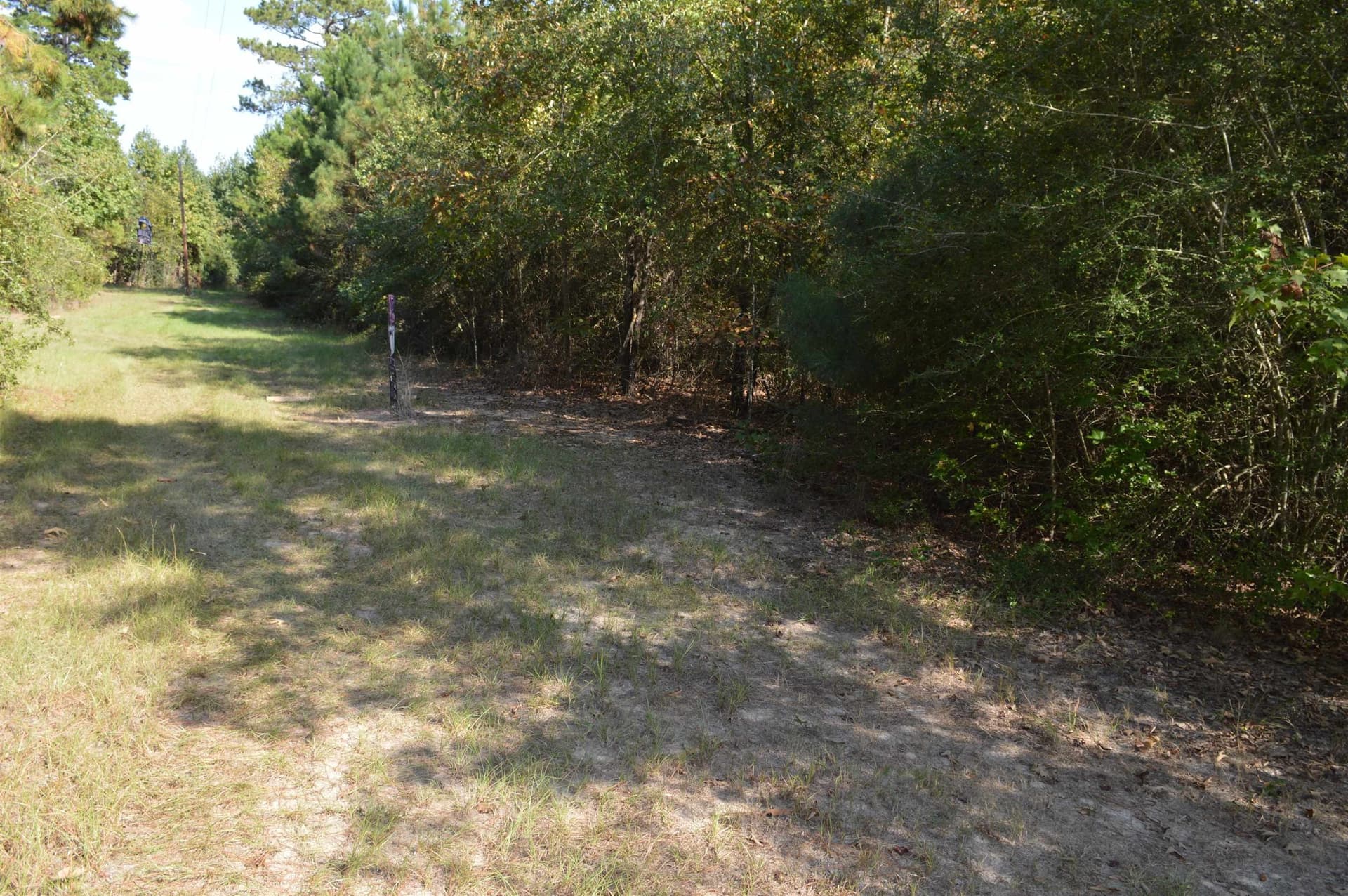 8 acres in Texas County