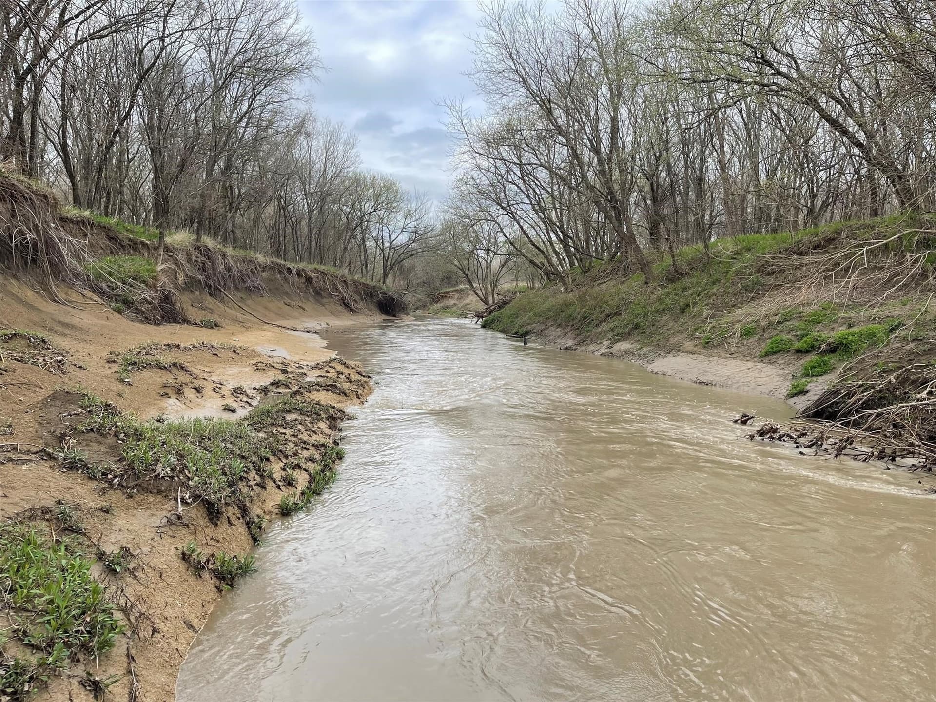 121 acres in Grayson County