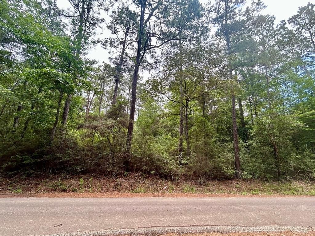0.76 acres in Texas County