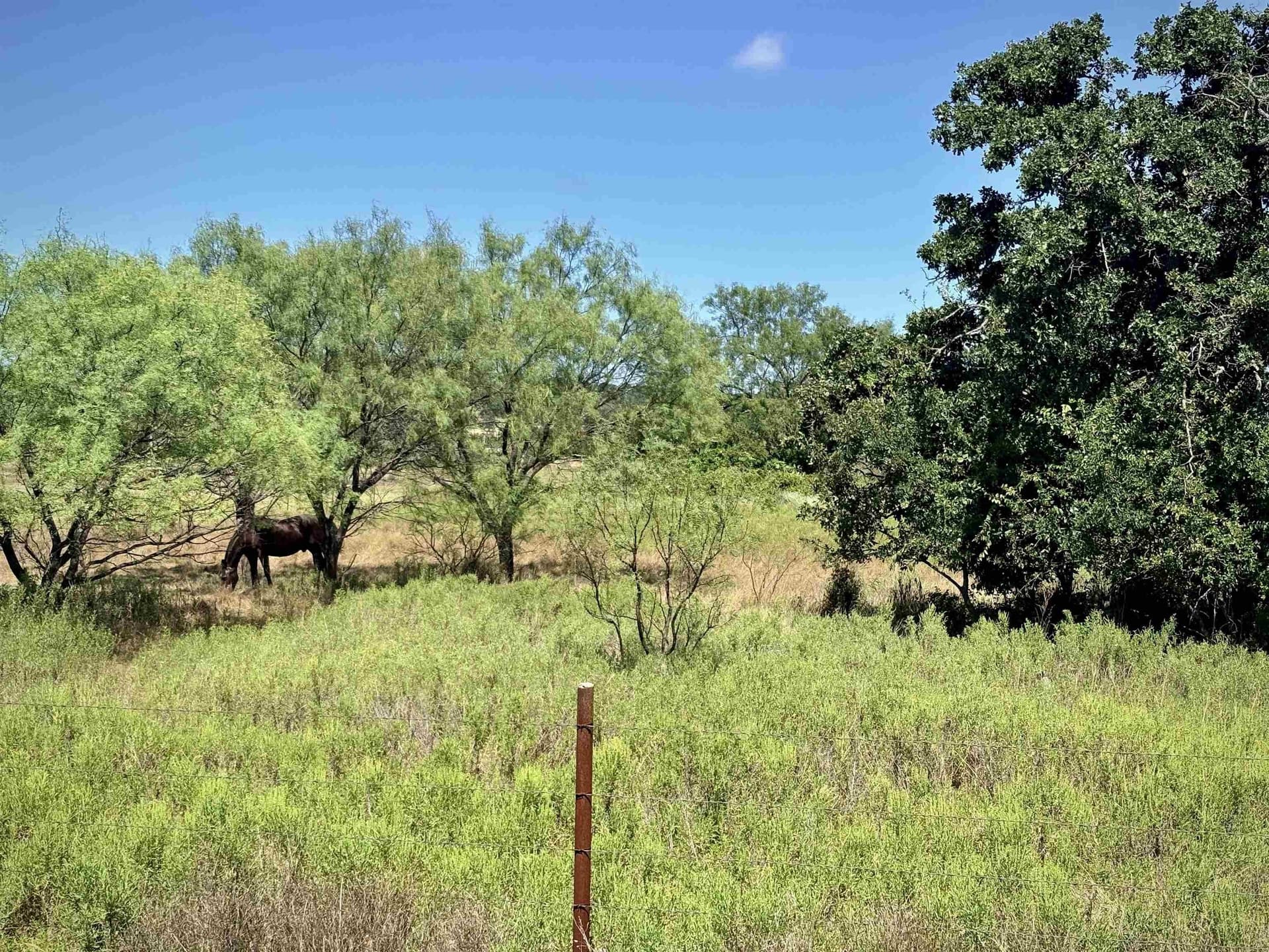 5 acres in Llano County