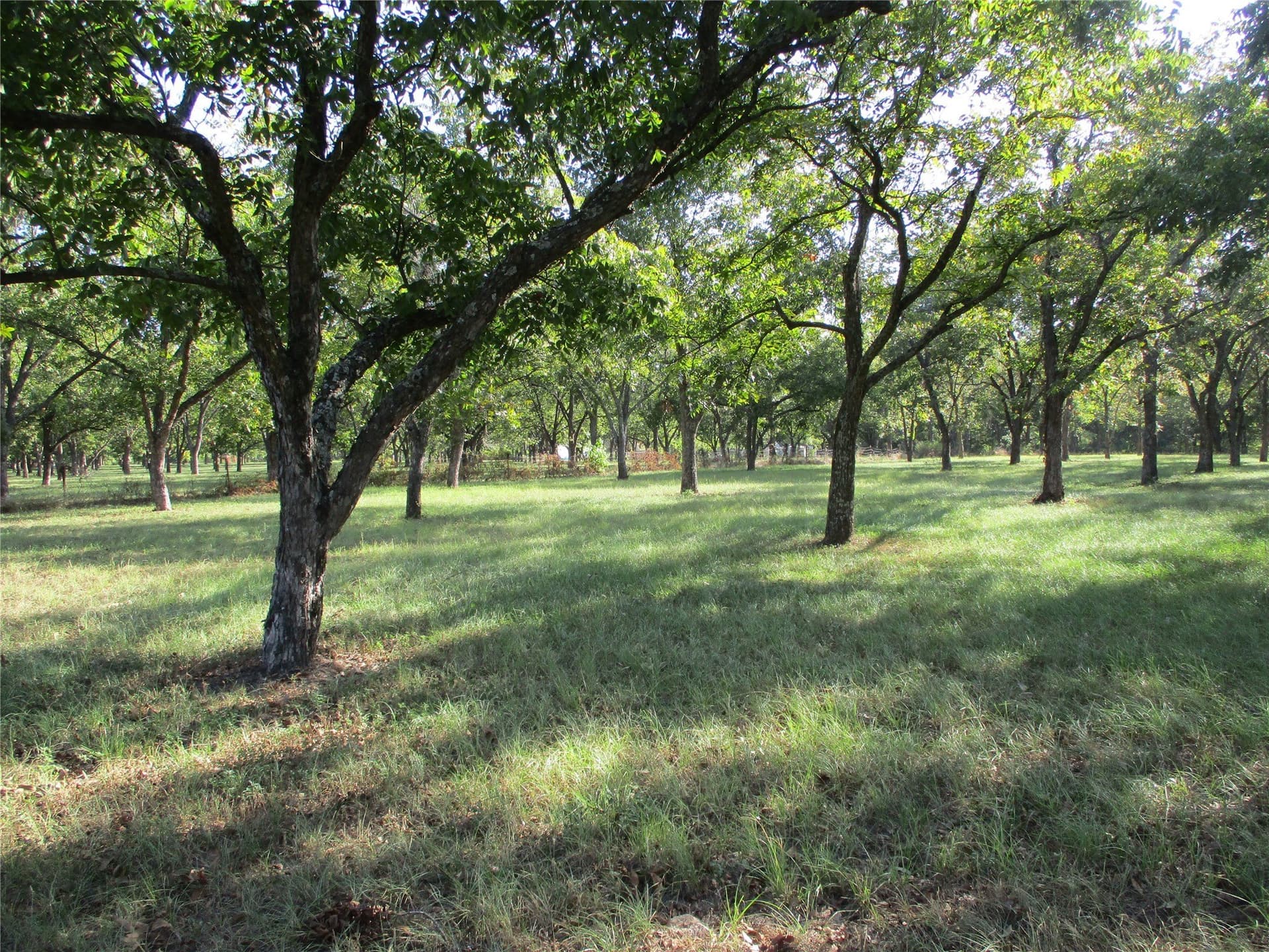 2 acres in Rains County