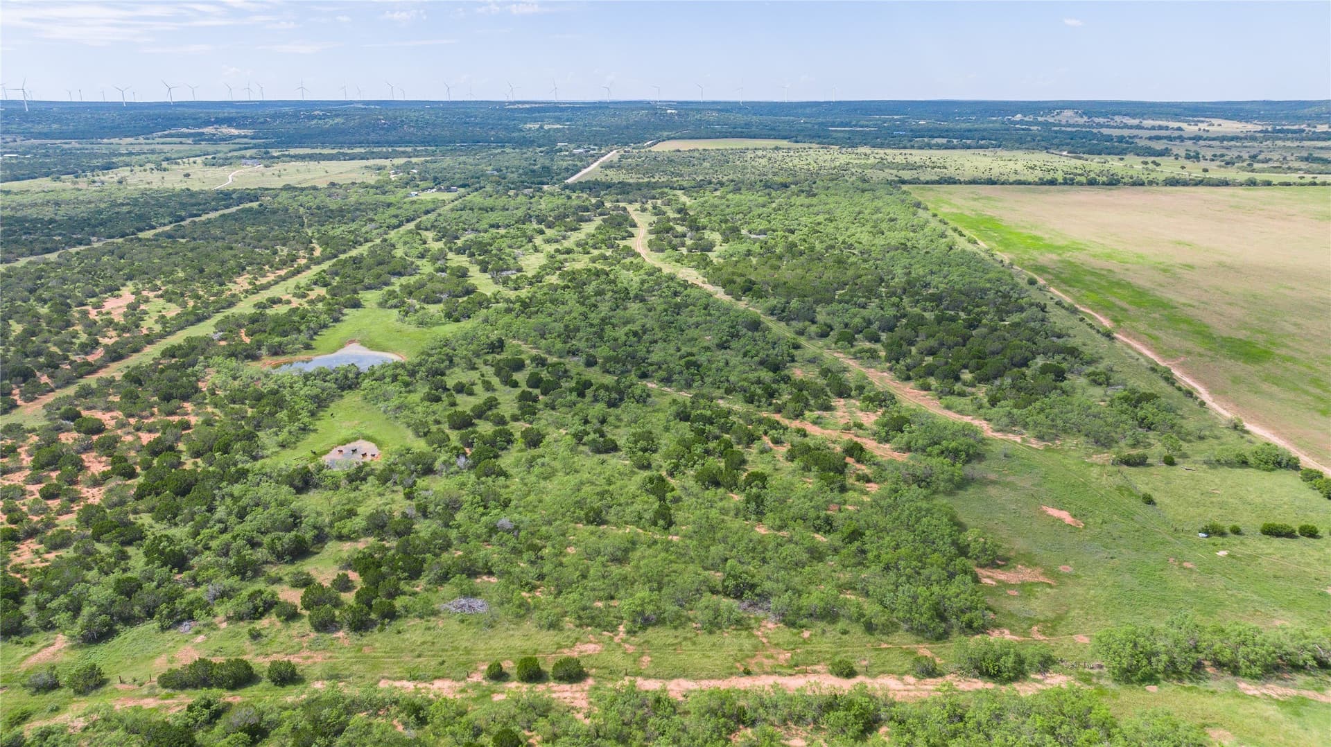 90 acres in Taylor County