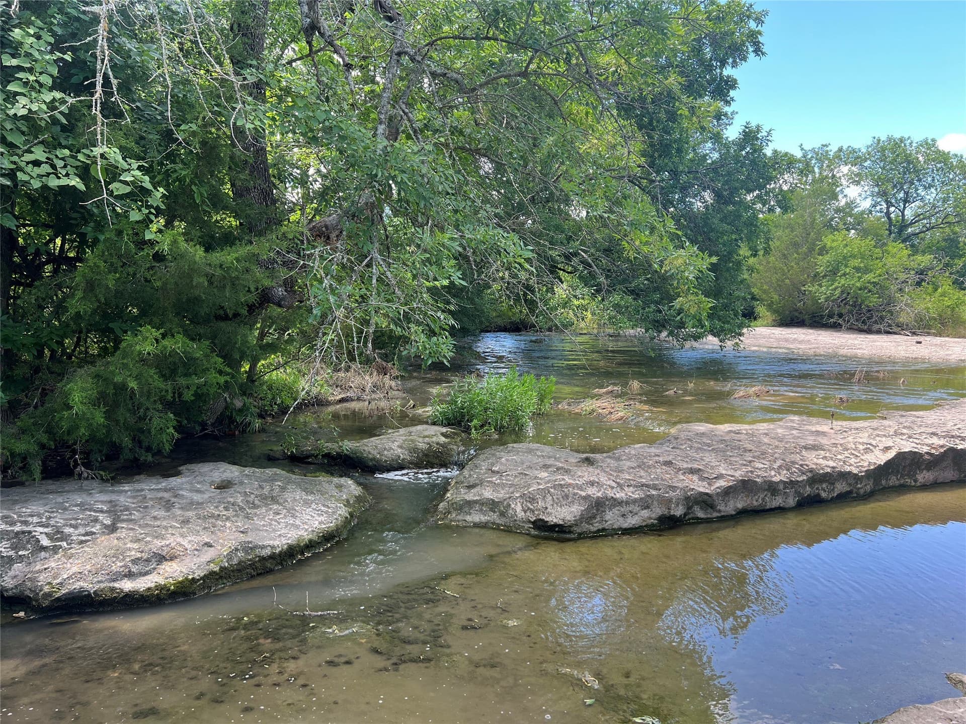 31.69 acres in Fannin County
