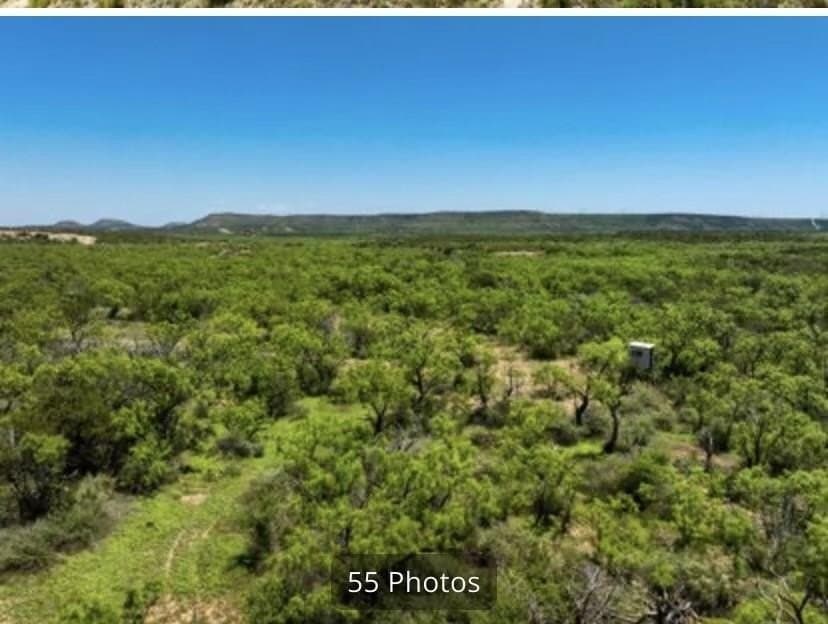 222 acres in Coke County