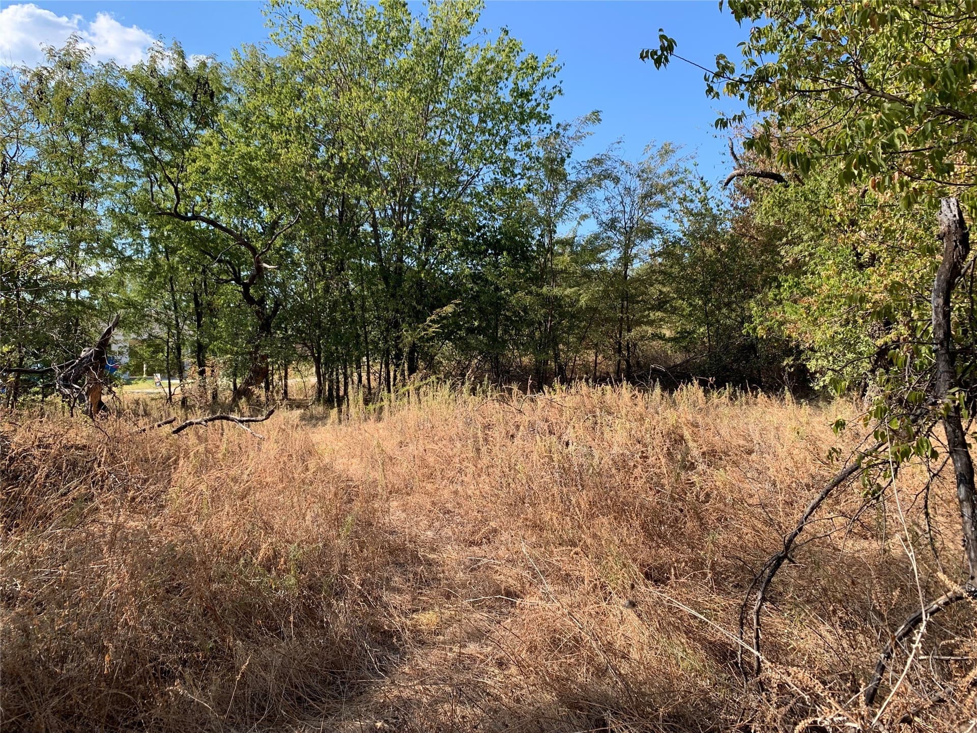 0.22 acres in Wise County