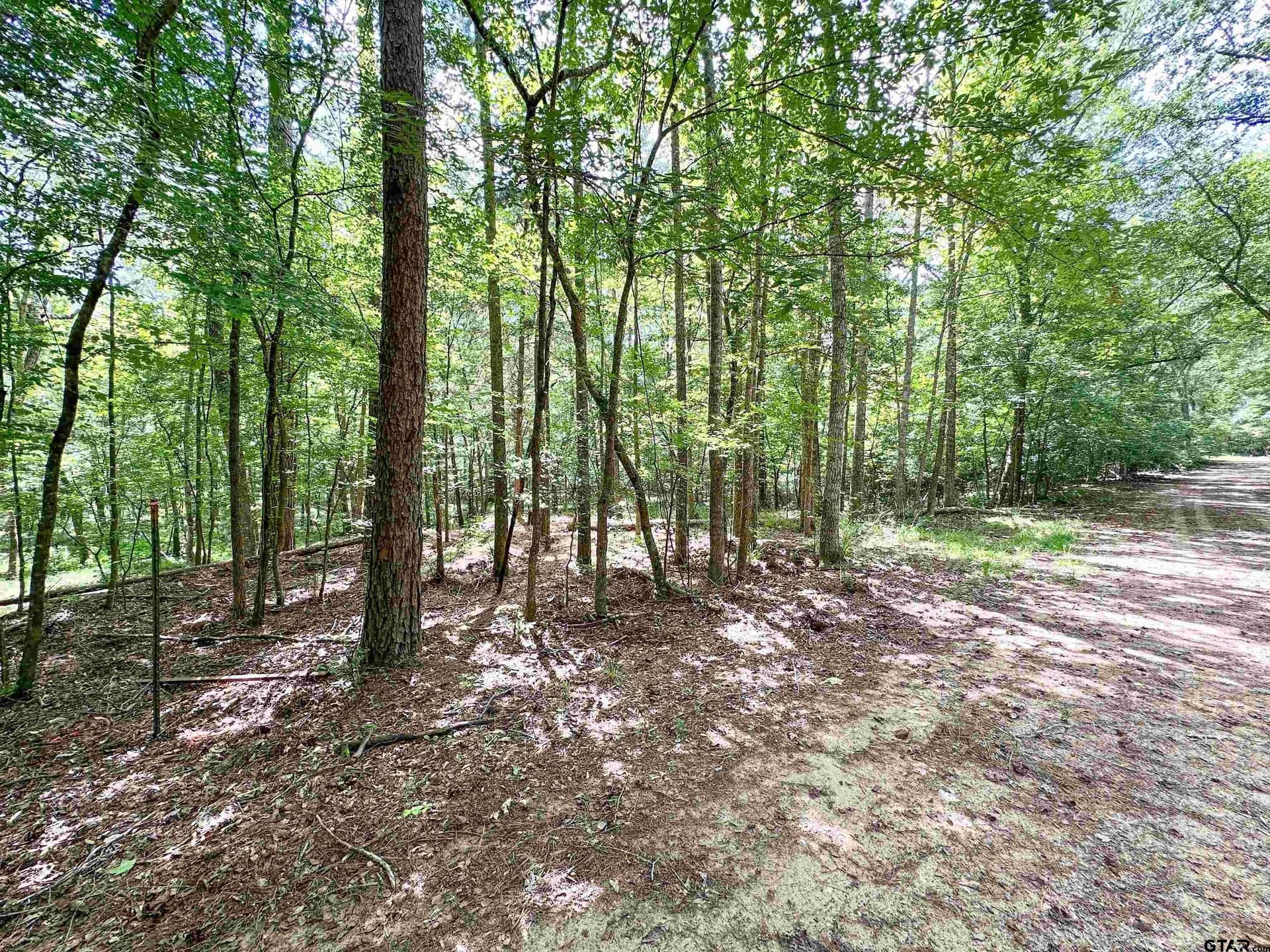 5 acres in Anderson County