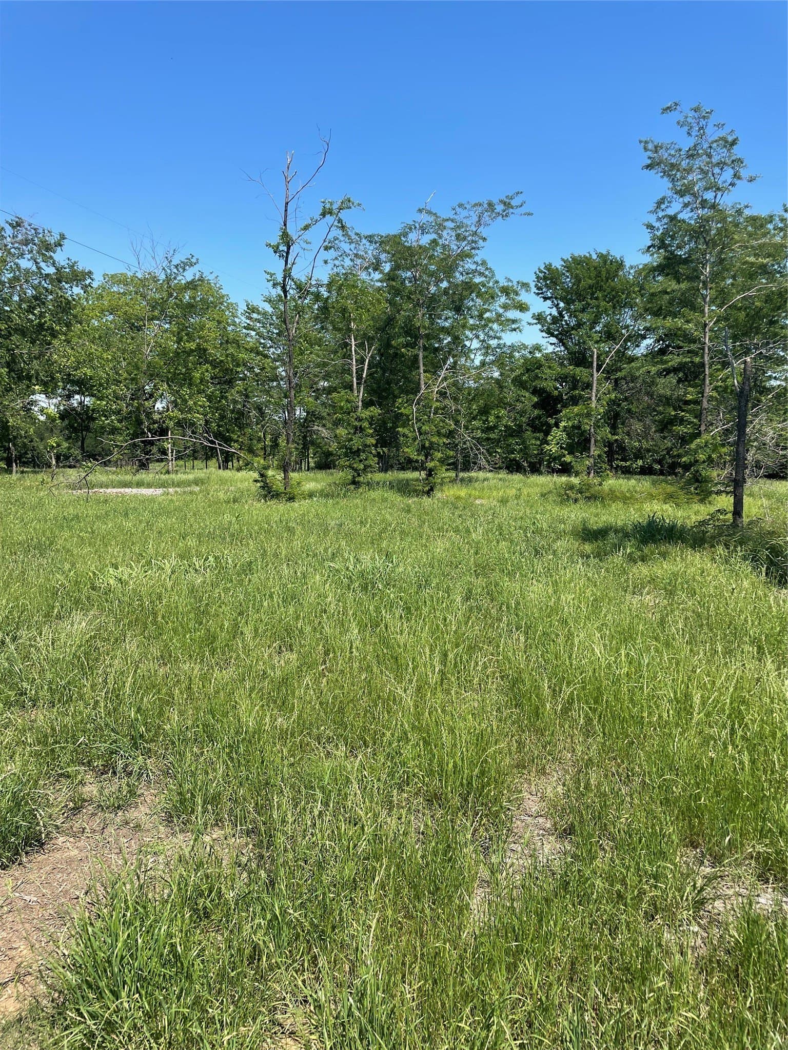 1.44 acres in Fannin County