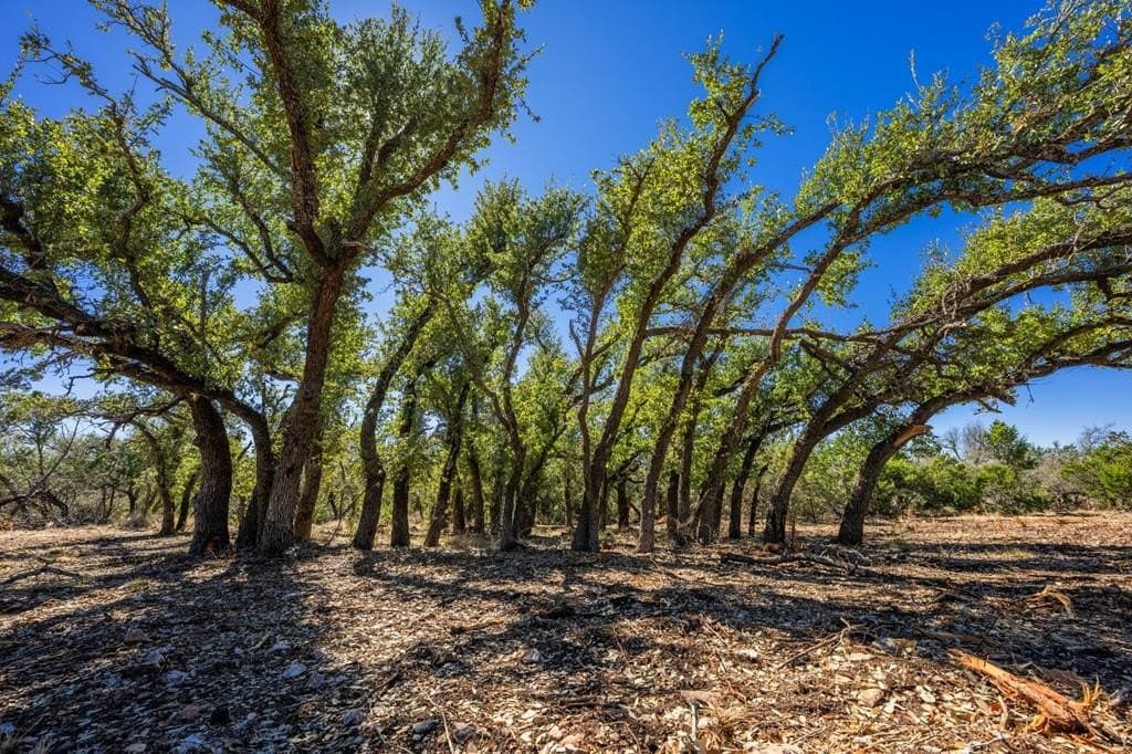 16.7 acres in Gillespie County