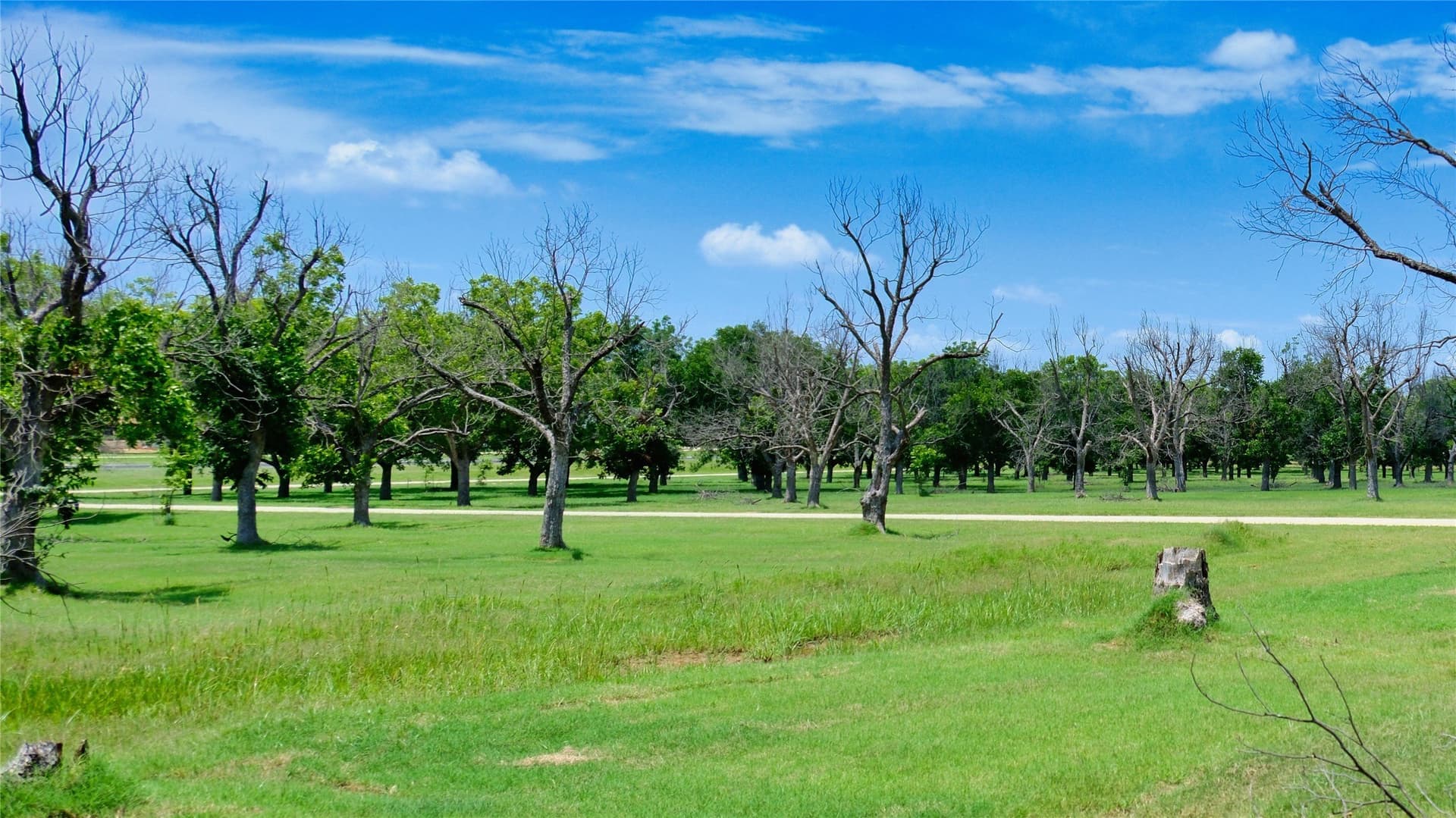 2.88 acres in Hood County