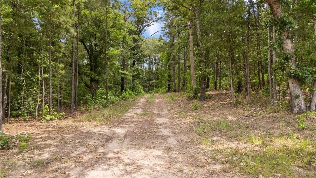 100.56 acres in Wood County