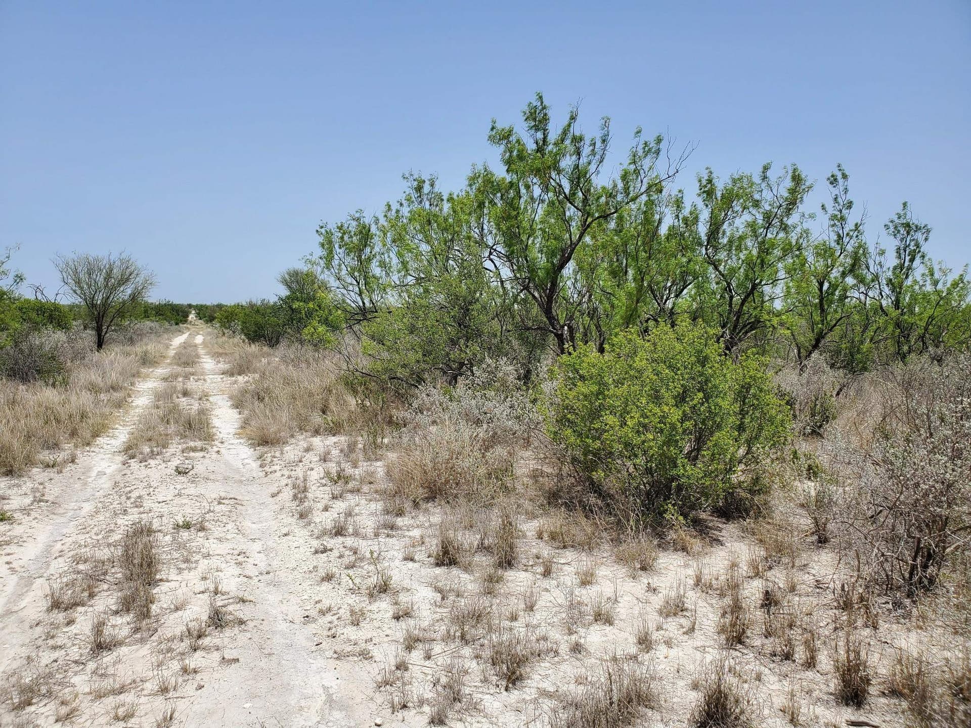 34.07 acres in Kinney County