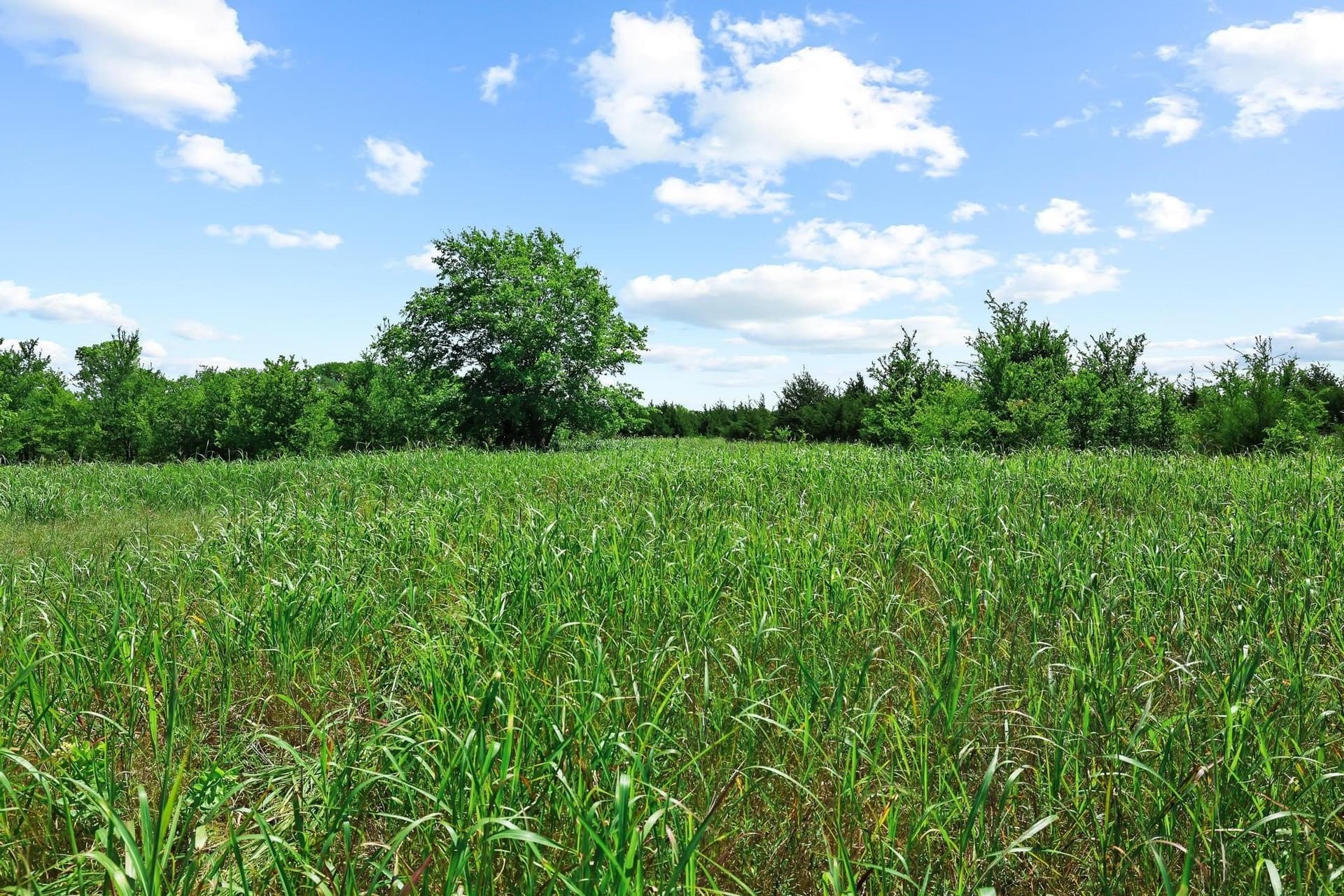 255.34 acres in Fannin County