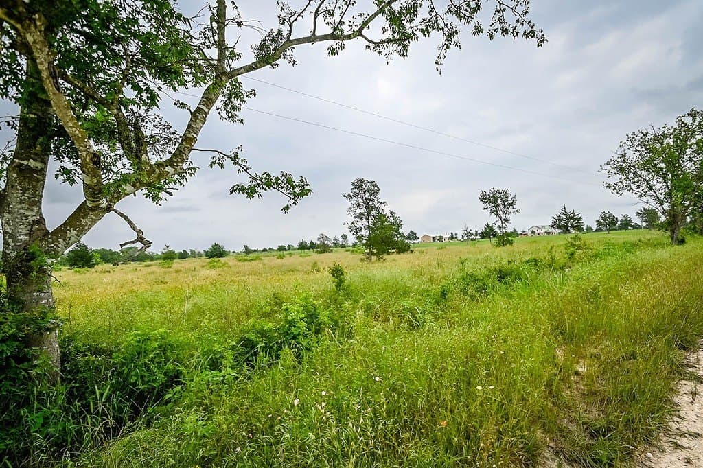 7.84 acres in Gonzales County
