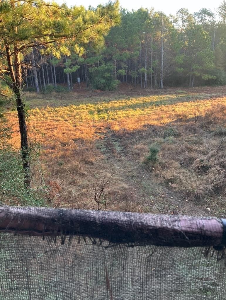 10.05 acres in Texas County