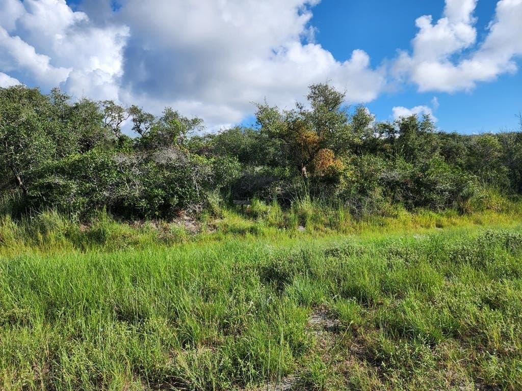 0.29 acres in Texas County