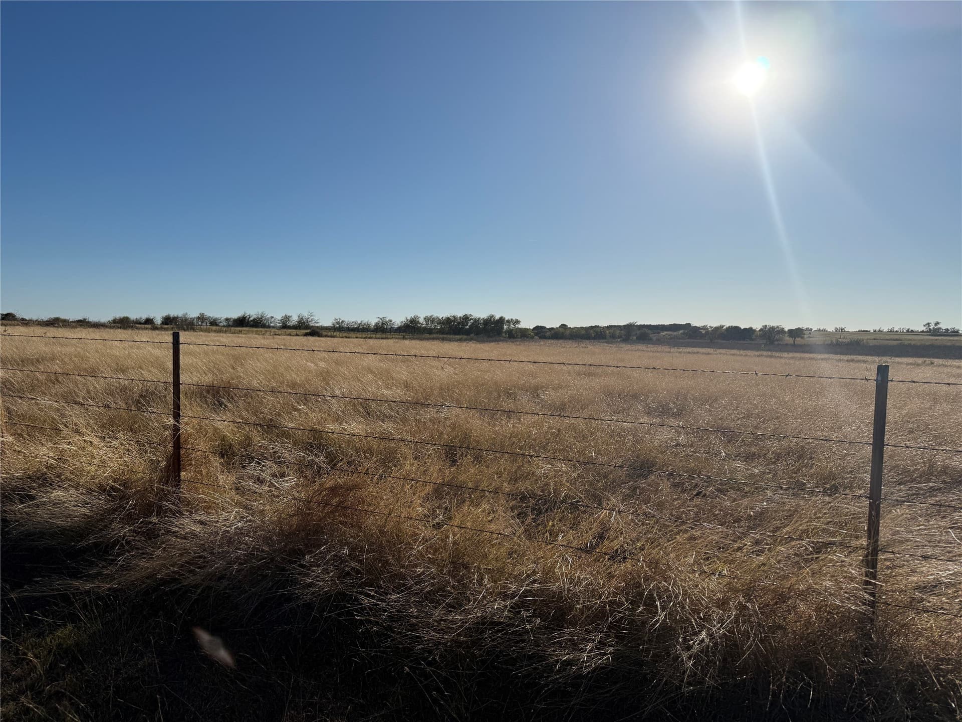 45.23 acres in Coryell County