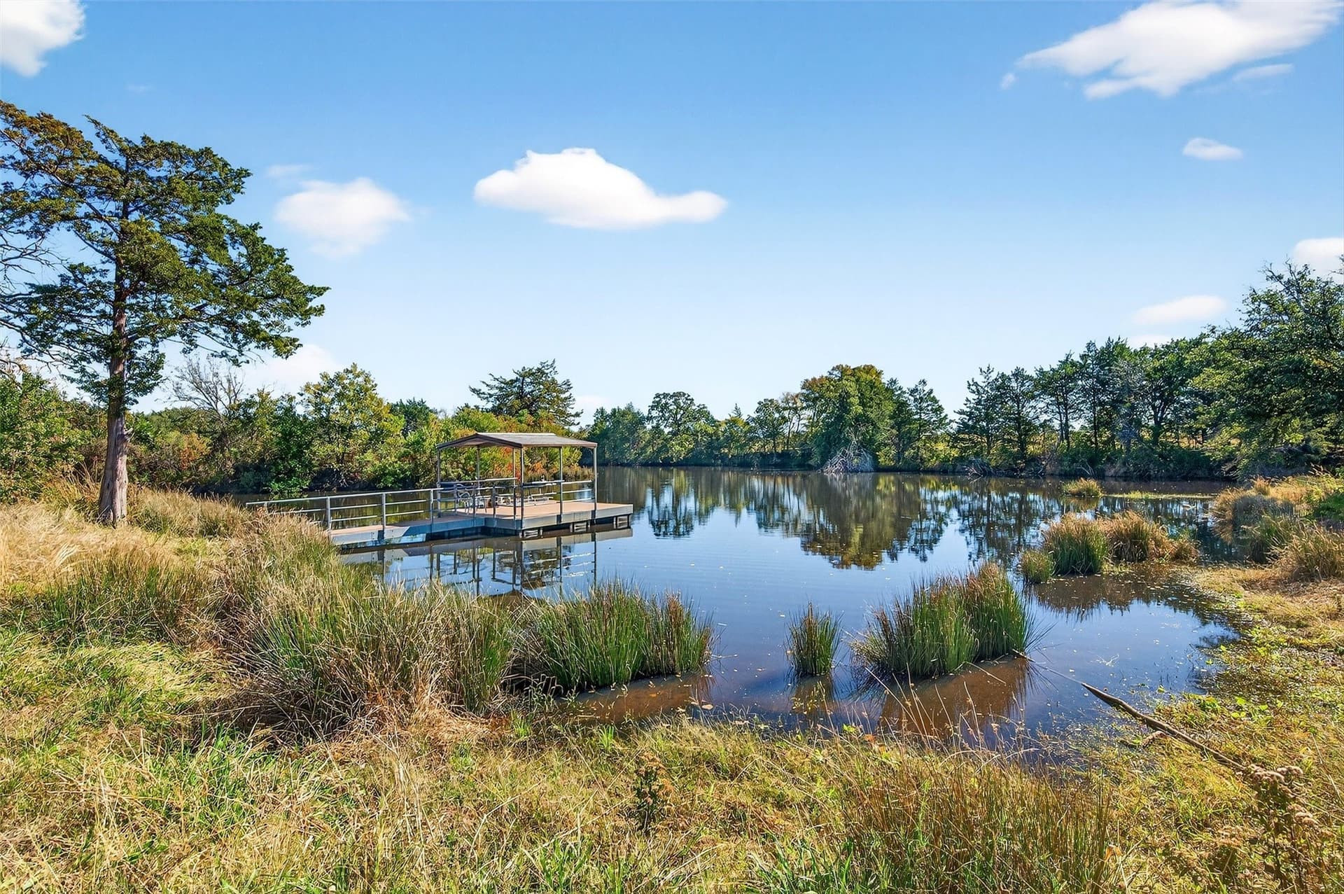 33.1 acres in Grayson County