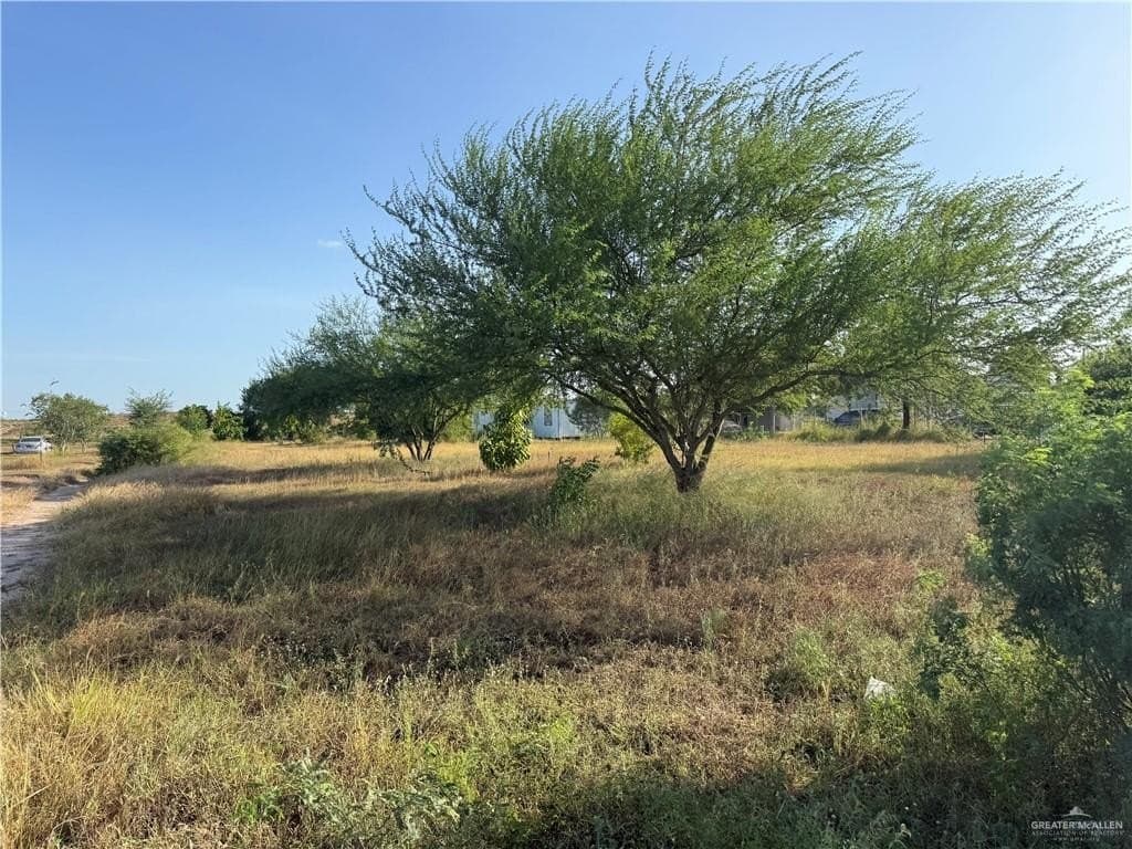 1 acres in Hidalgo County