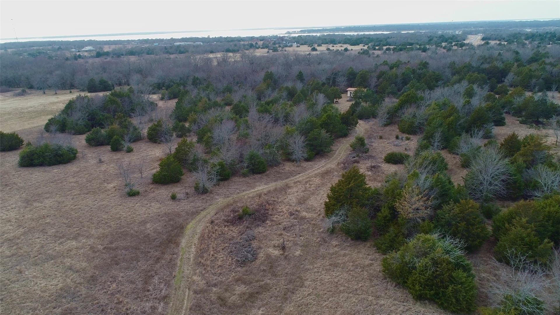 16.67 acres in Rains County